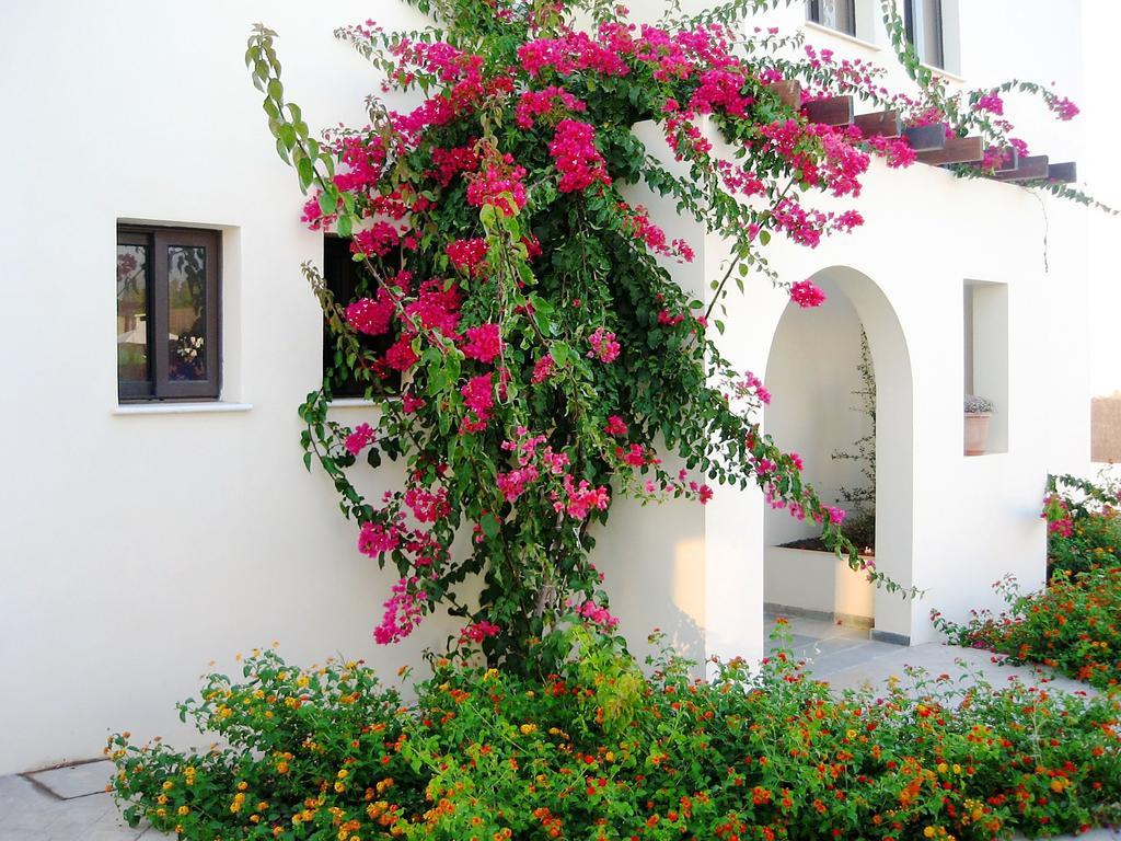 Aura Holiday Villas Paphos Bagian luar foto